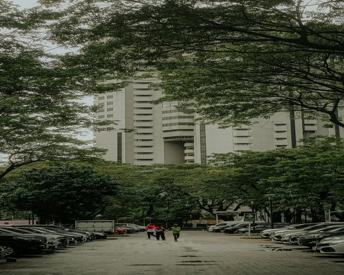 People walking leisurely in a park during Sunday morning in Jakarta